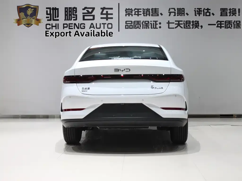 BYD Qin PLUS — фото 3