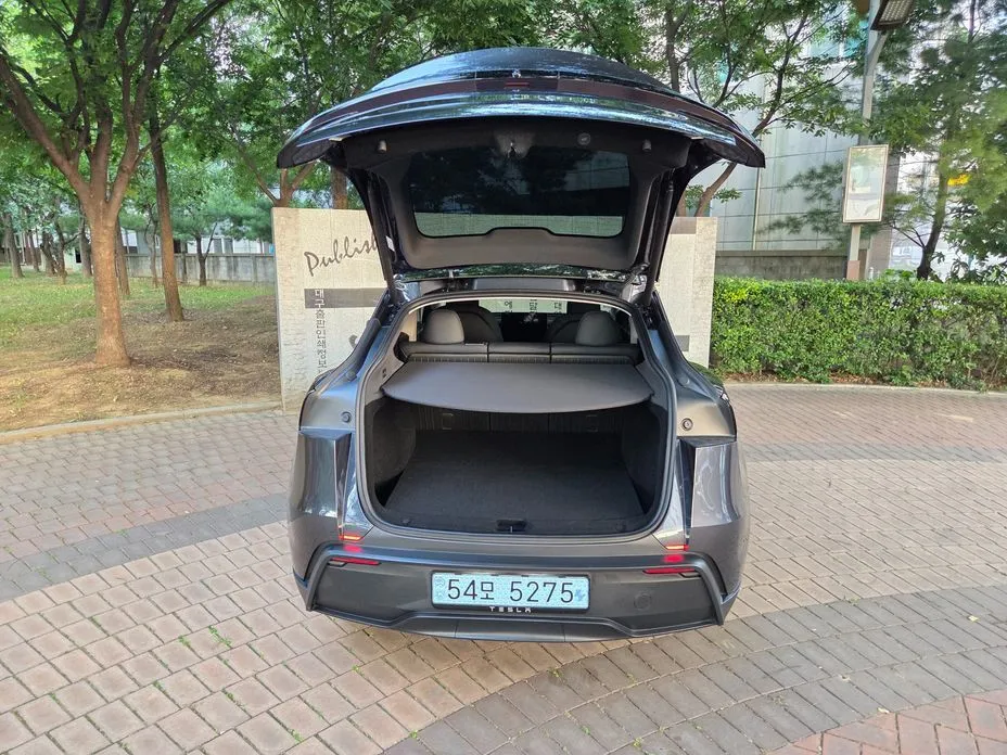 Tesla Model Y — фото 8