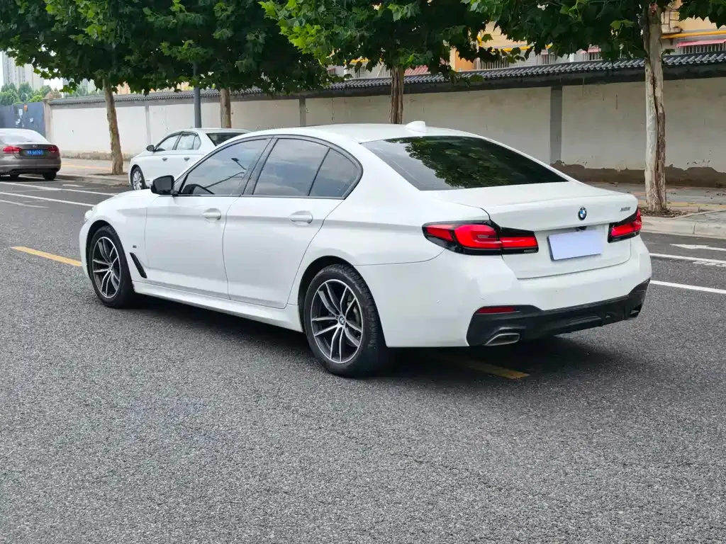 BMW 5 Series (Import) — фото 10