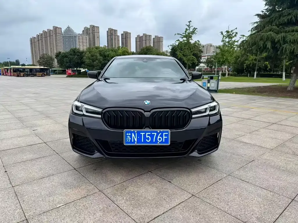 BMW 5 Series 2021 из CN, фото 7