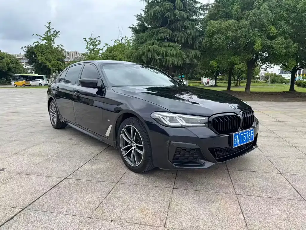 BMW 5 Series 2021 из CN, фото 8