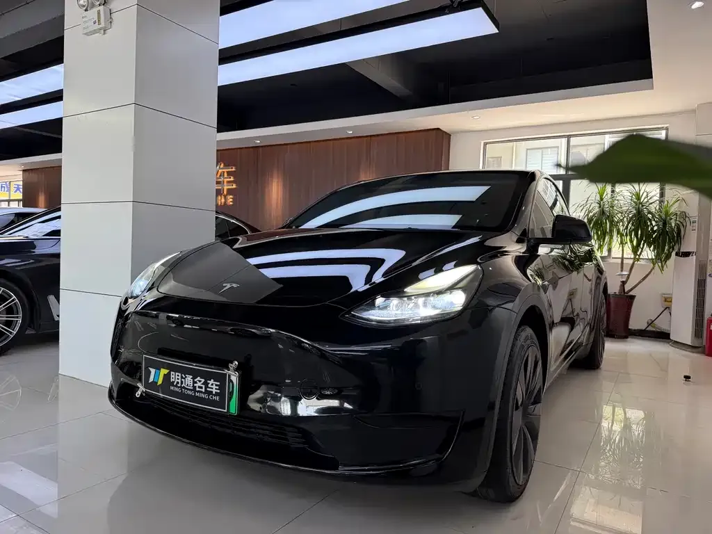 Tesla Model Y — фото 1