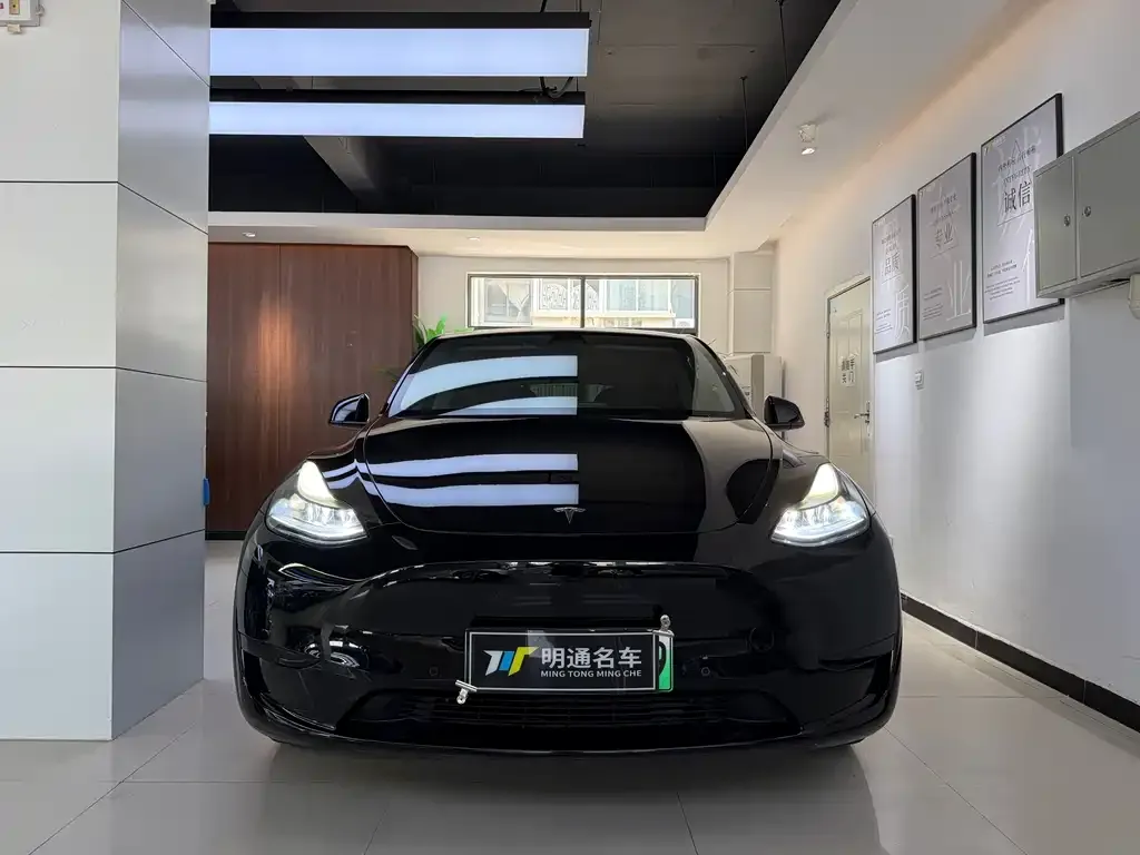 Tesla Model Y — фото 2