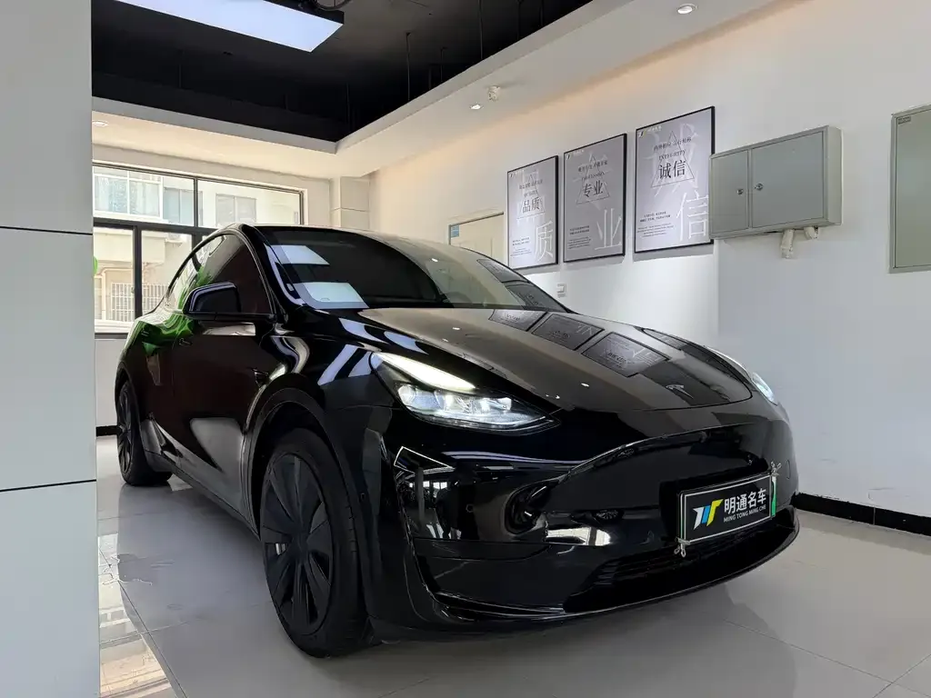 Tesla Model Y — фото 3