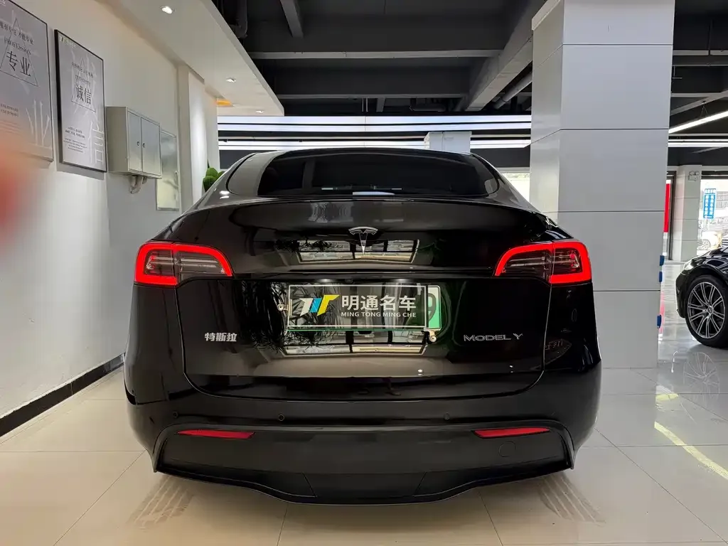 Tesla Model Y — фото 5