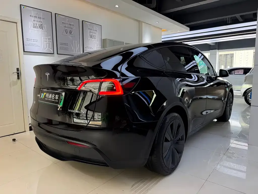Tesla Model Y — фото 9