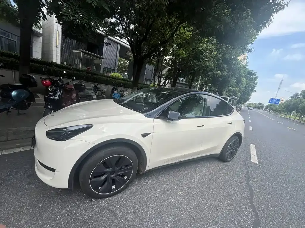 Tesla Model Y — фото 2
