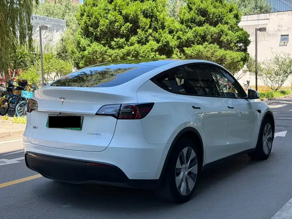 Tesla Model Y — фото 10