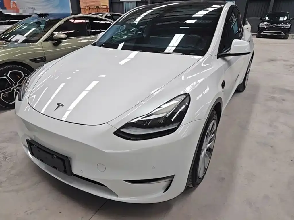 Tesla Model Y — фото 1