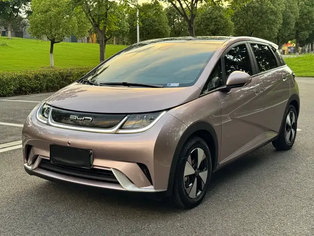 BYD Dolphin