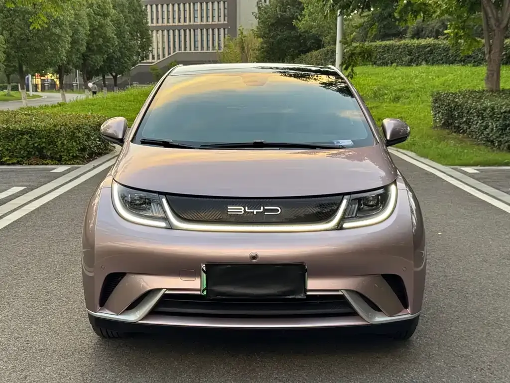 BYD Dolphin 2024 из CN, фото 3