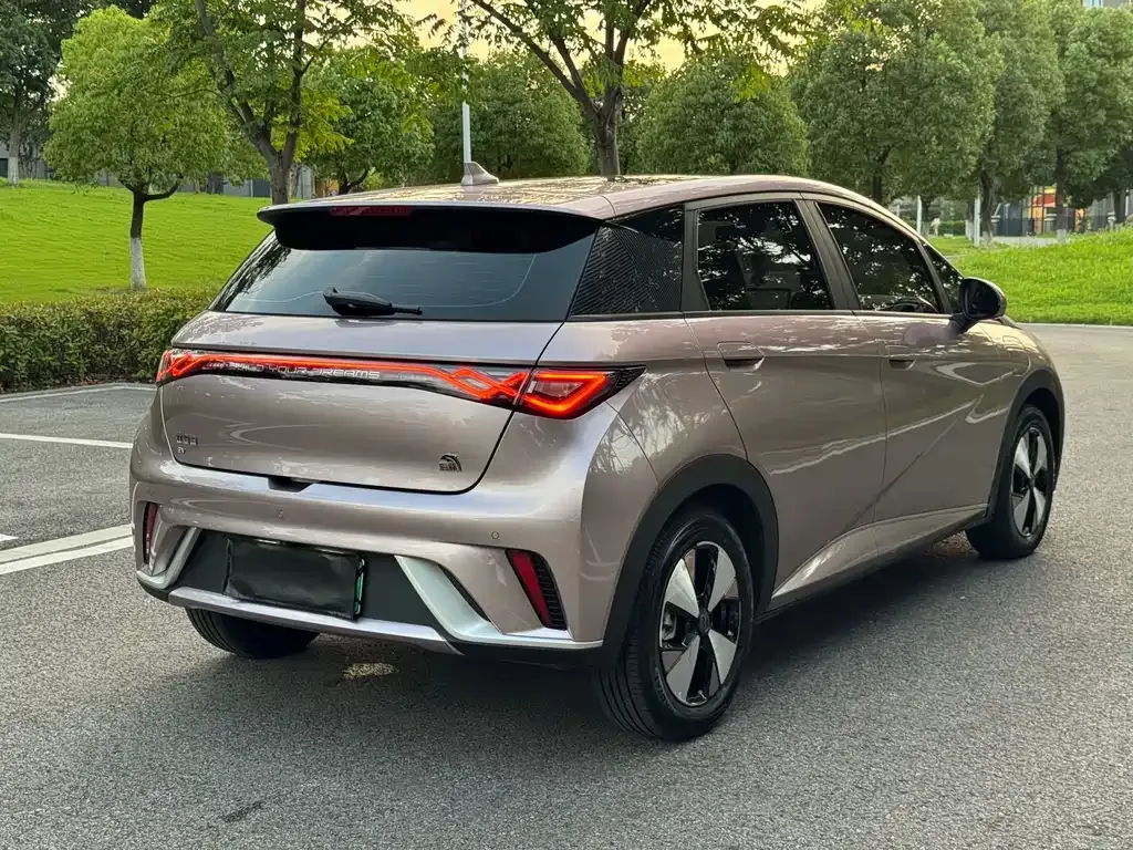 BYD Dolphin 2024 из CN, фото 6
