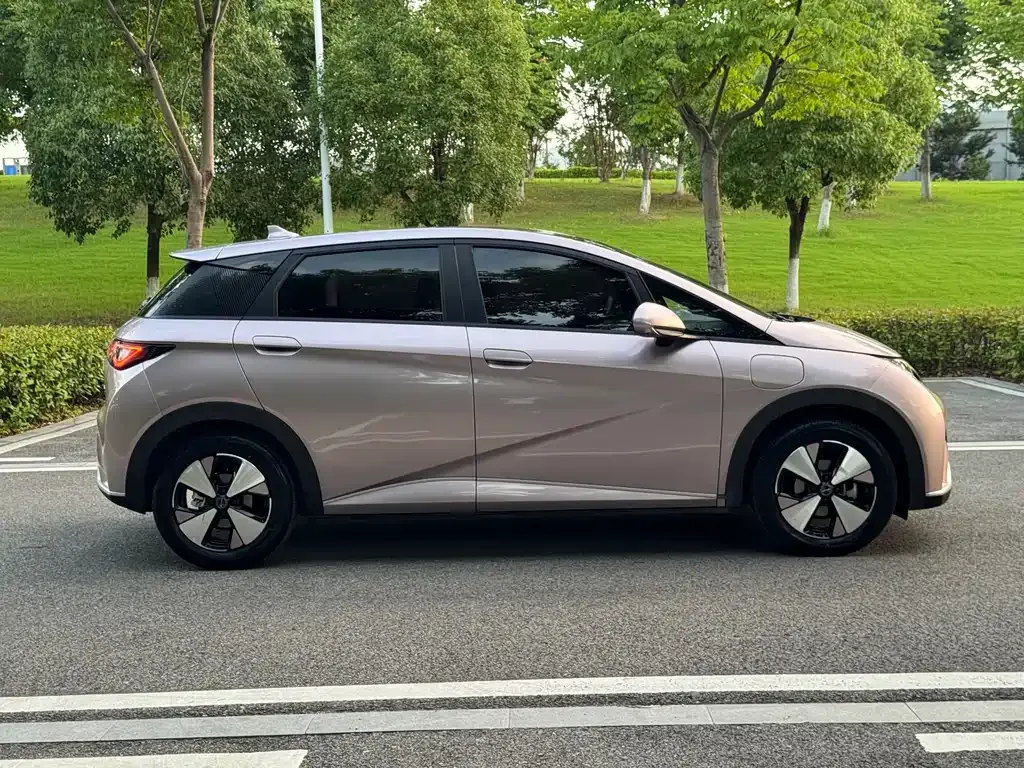 BYD Dolphin 2024 из CN, фото 10