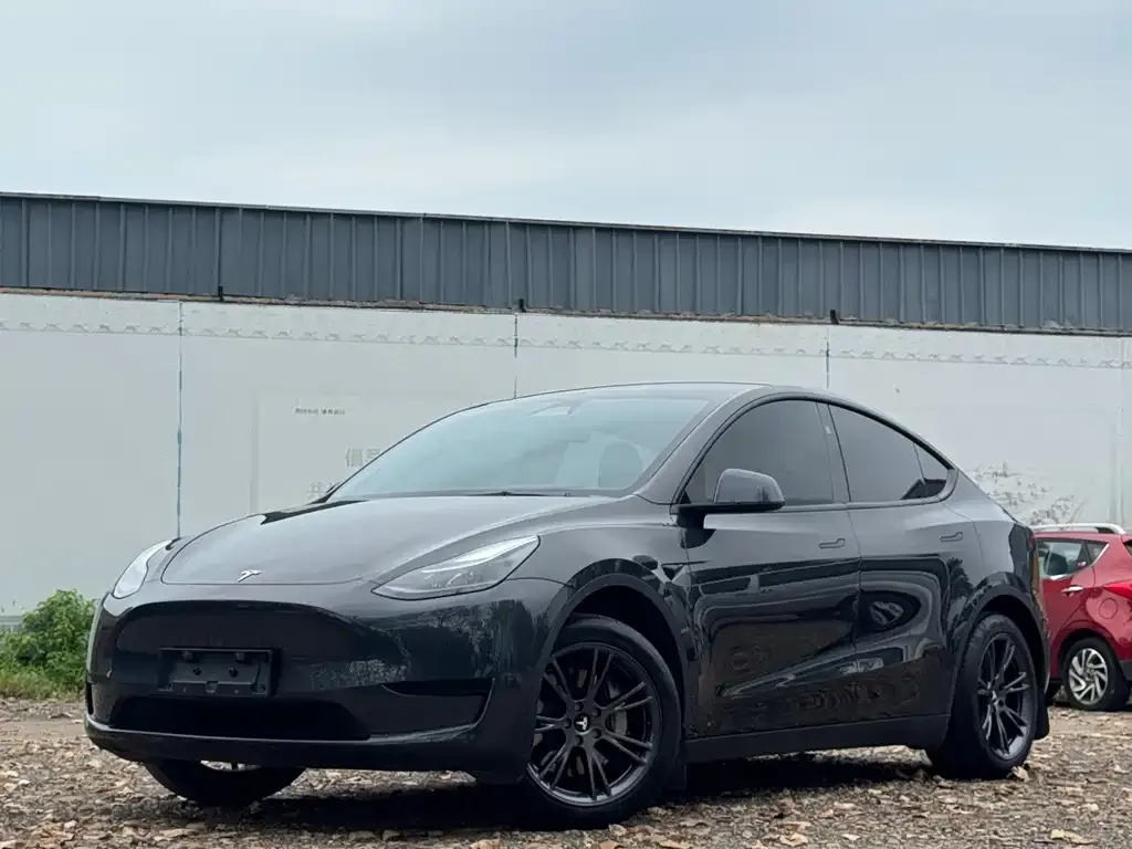 Tesla Model Y — фото 1
