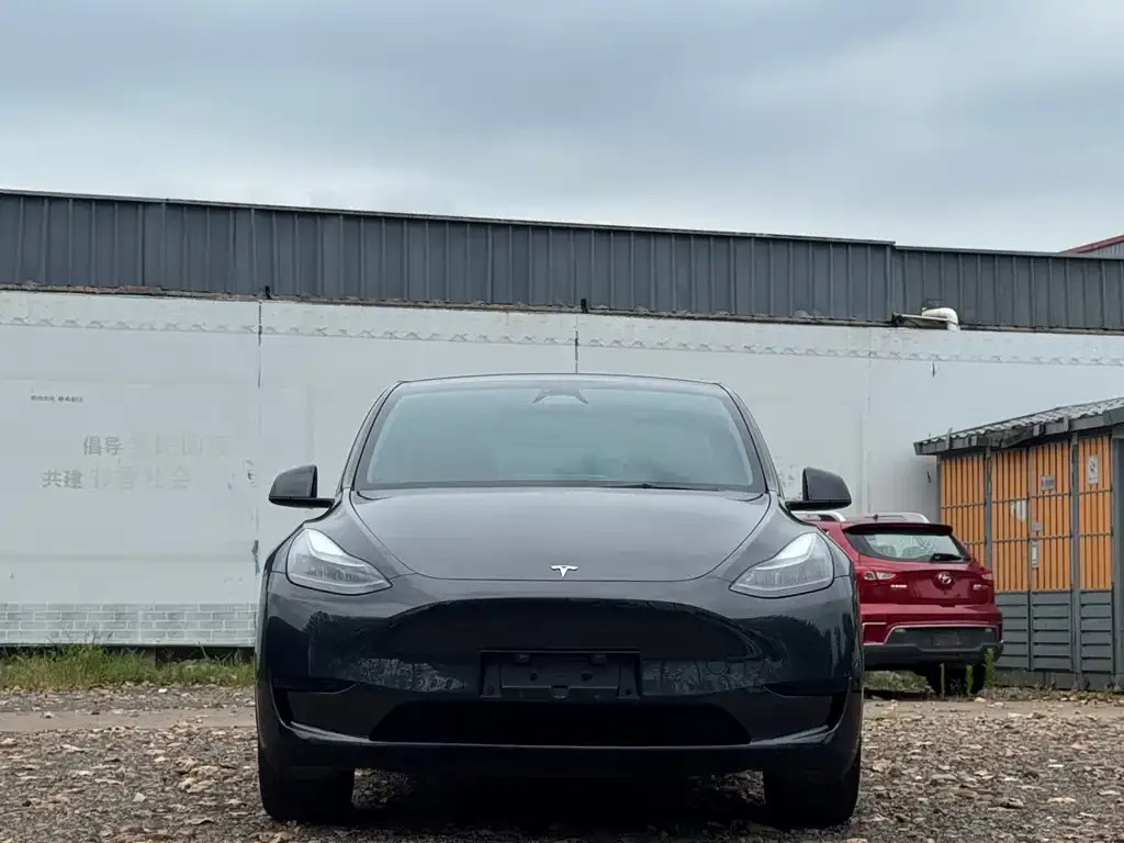 Tesla Model Y — фото 2