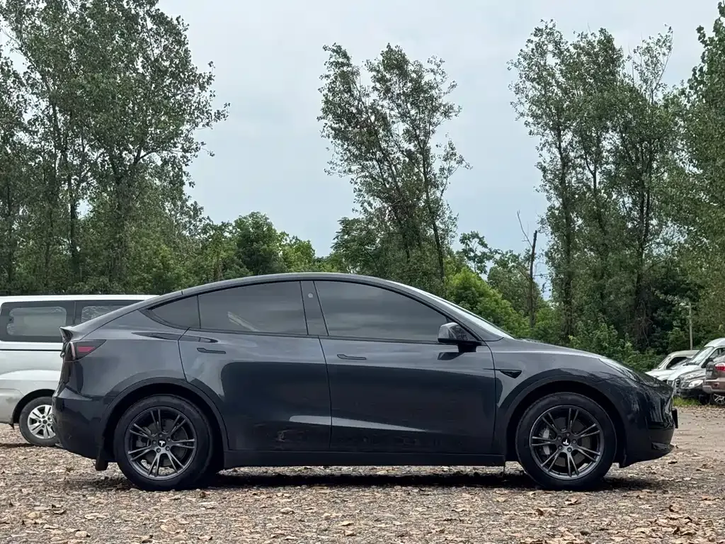 Tesla Model Y — фото 9