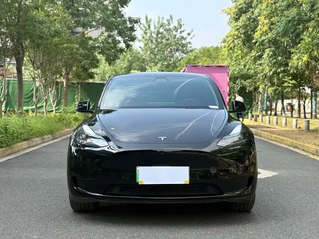 Tesla Model Y — фото 7