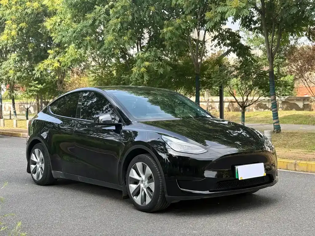 Tesla Model Y — фото 10