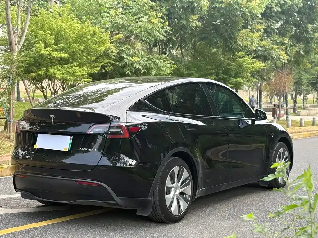 Tesla Model Y — фото 8