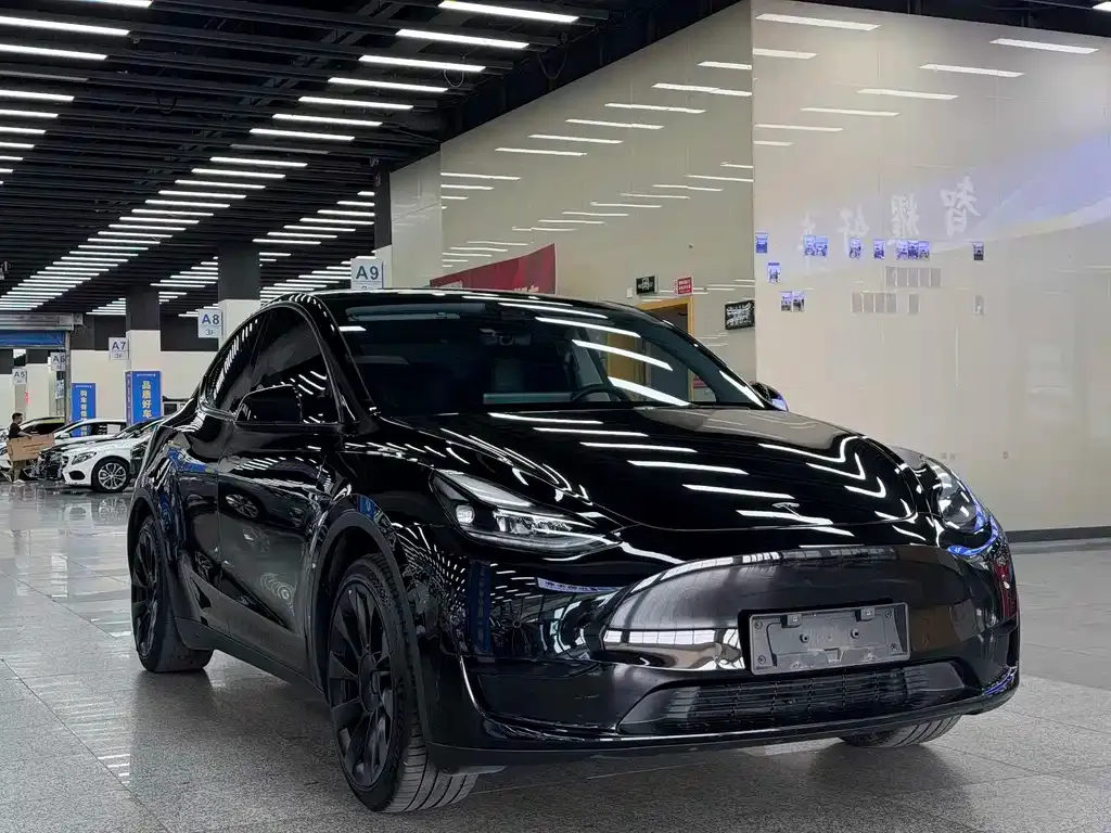 Tesla Model Y — фото 6
