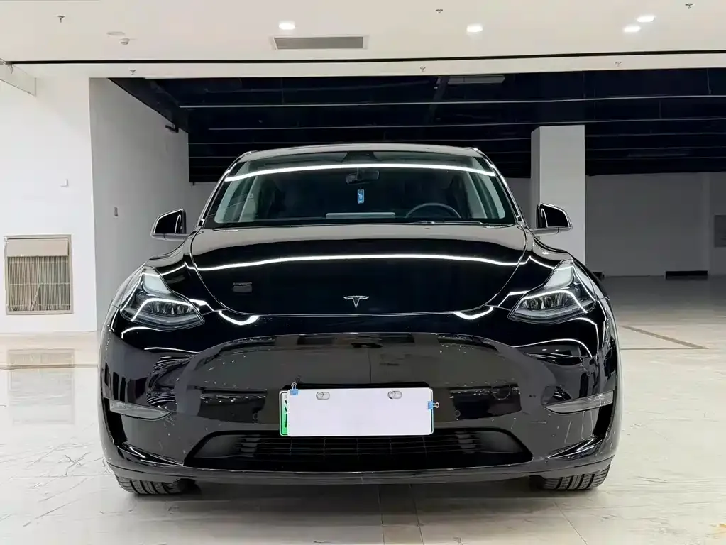 Tesla Model Y — фото 2