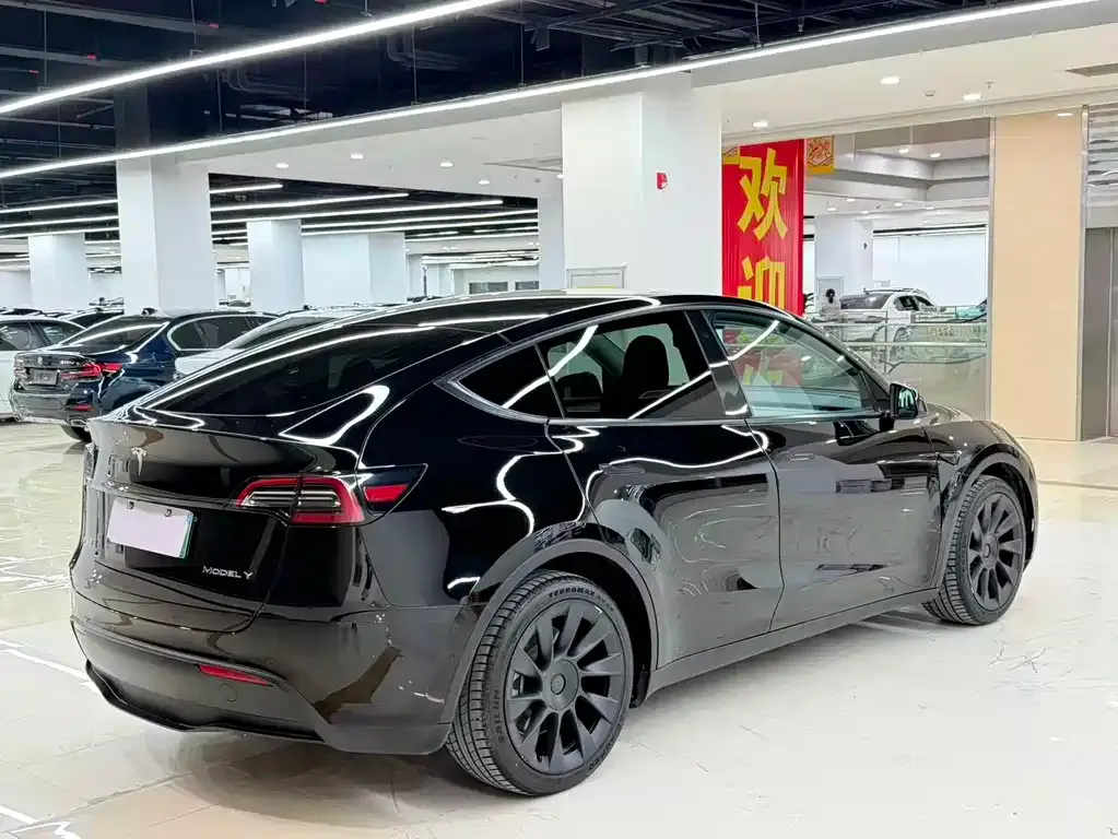 Tesla Model Y — фото 4