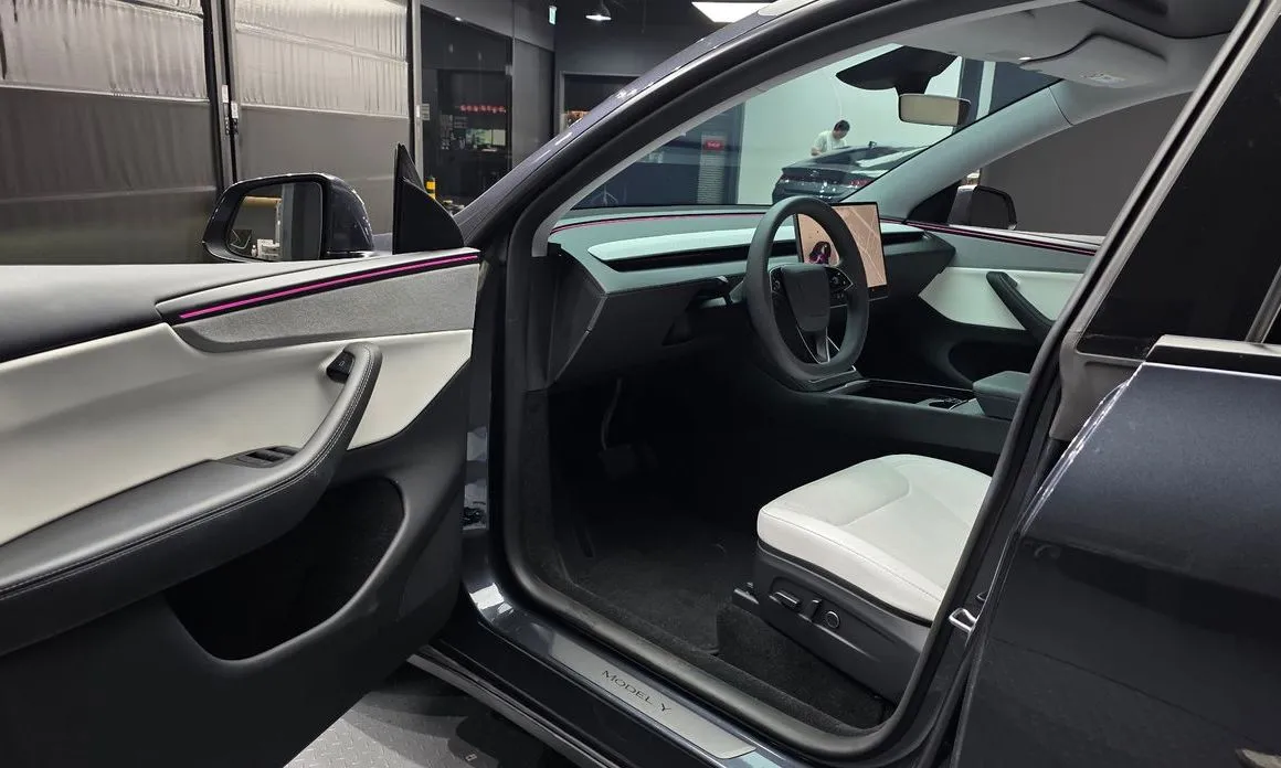 Tesla Model Y — фото 6