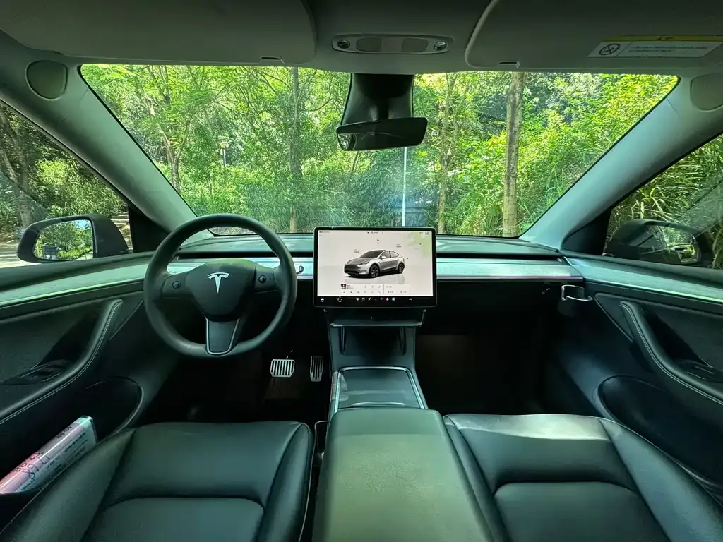 Tesla Model Y — фото 6