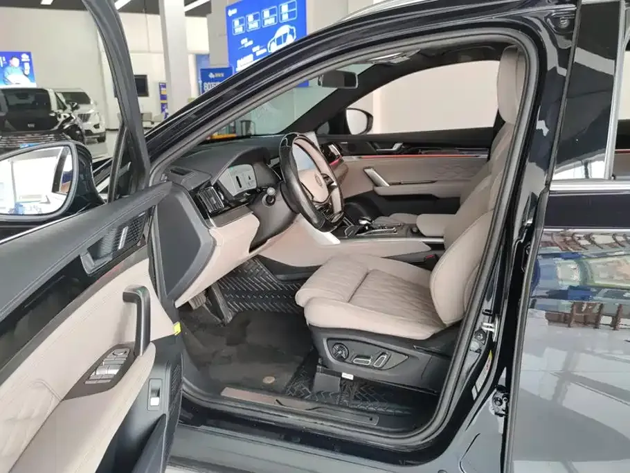BYD Tang New Energy — фото 10