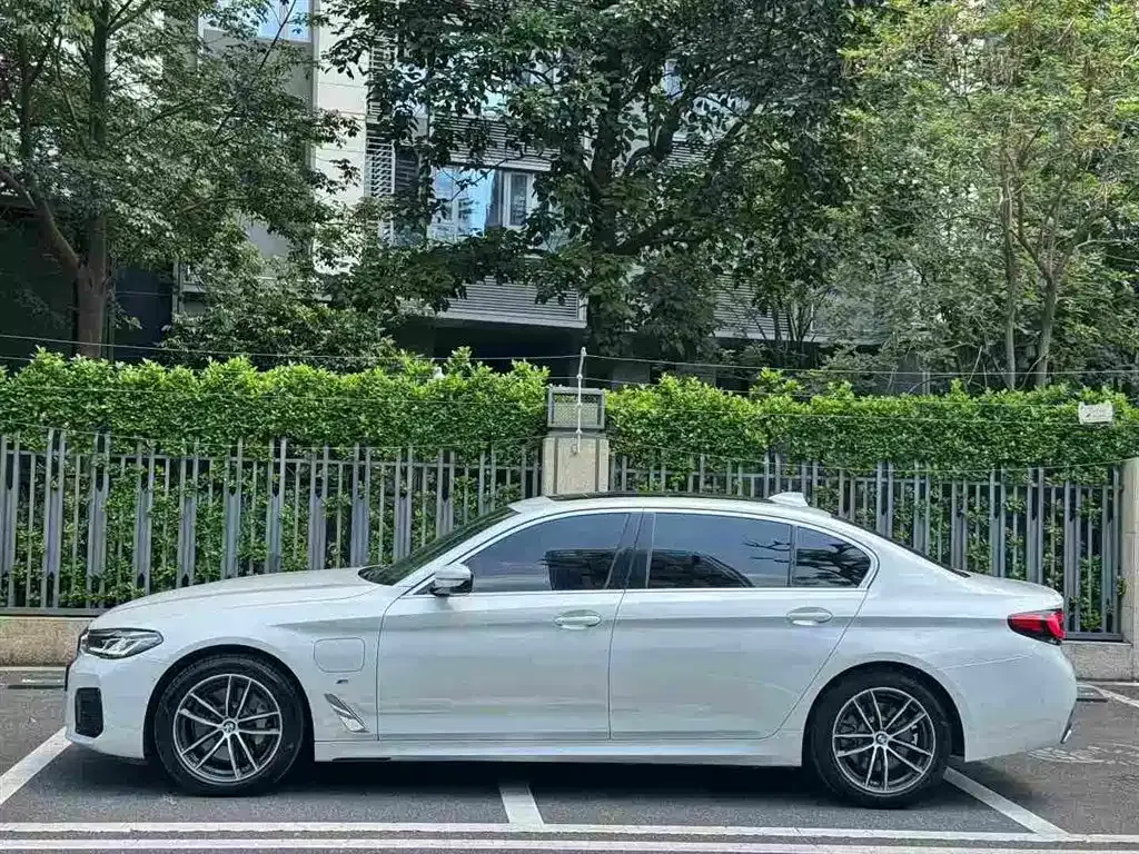 BMW 5 Series New Energy 2021 из CN, фото 7