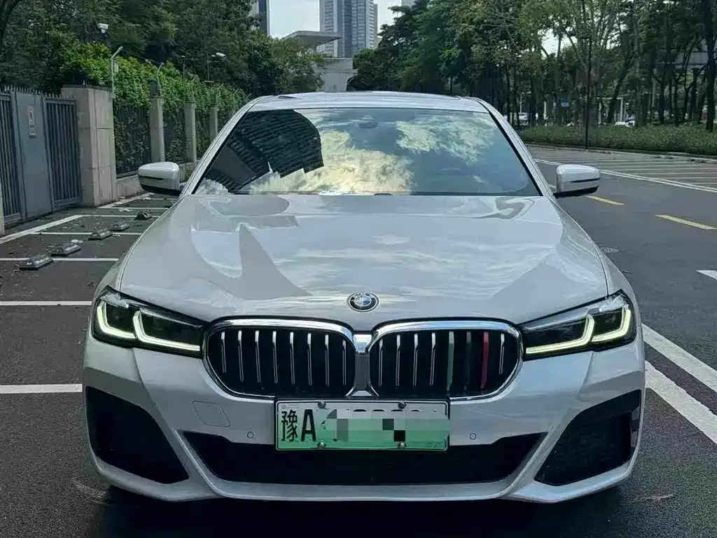 BMW 5 Series New Energy 2021 из CN, фото 4