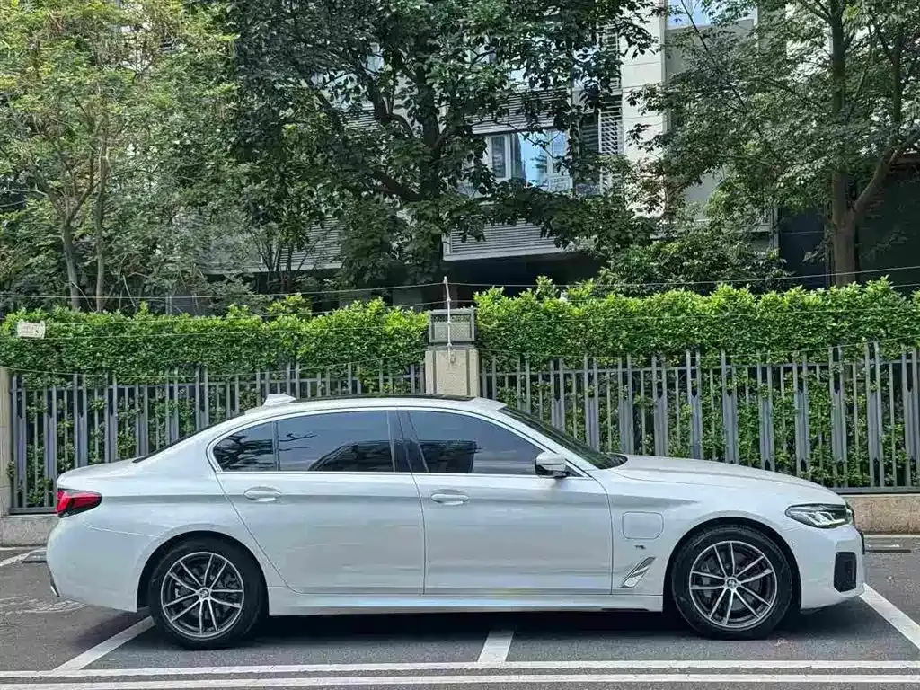 BMW 5 Series New Energy 2021 из CN, фото 10