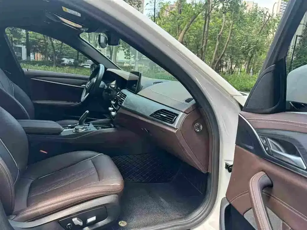 BMW 5 Series New Energy 2021 из CN, фото 9