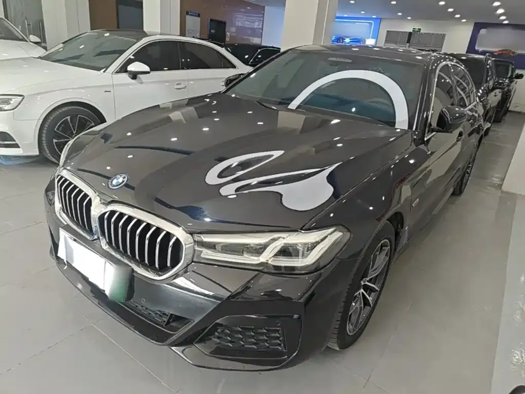 BMW 5 Series New Energy — фото 1