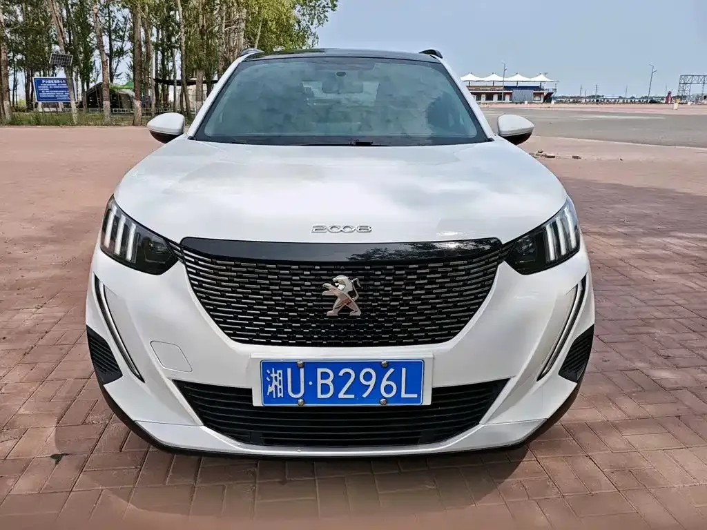 Peugeot 2008 2023 из CN, фото 6