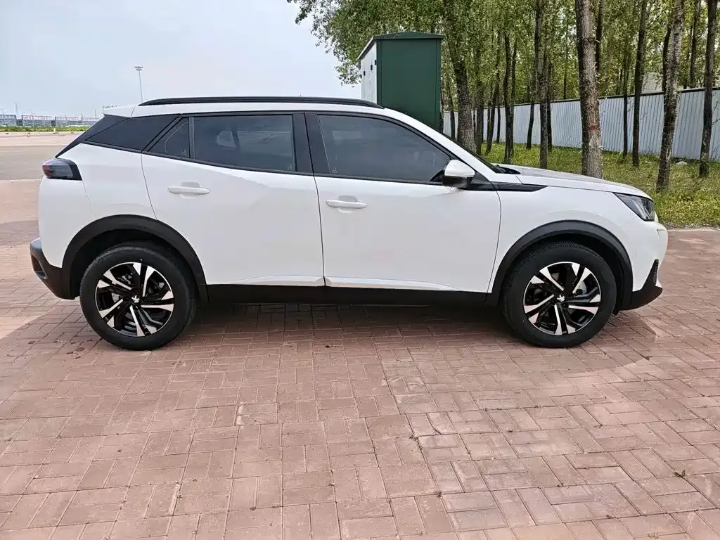 Peugeot 2008 2023 из CN, фото 10