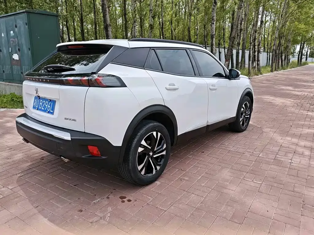 Peugeot 2008 2023 из CN, фото 9