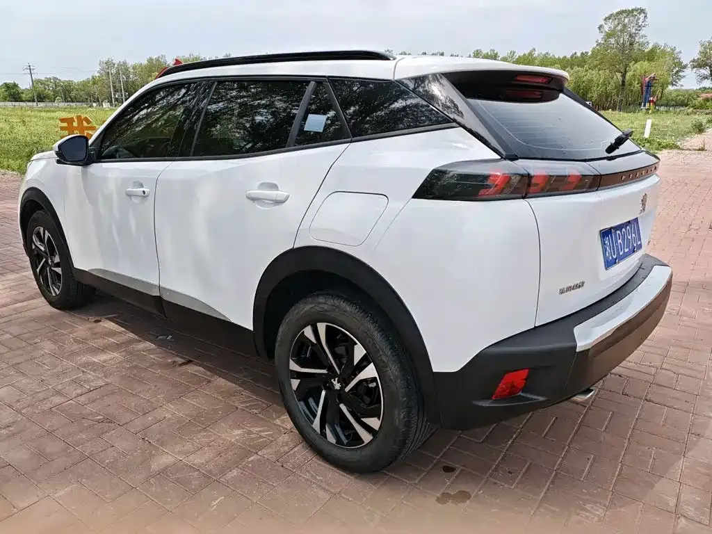 Peugeot 2008 2023 из CN, фото 4