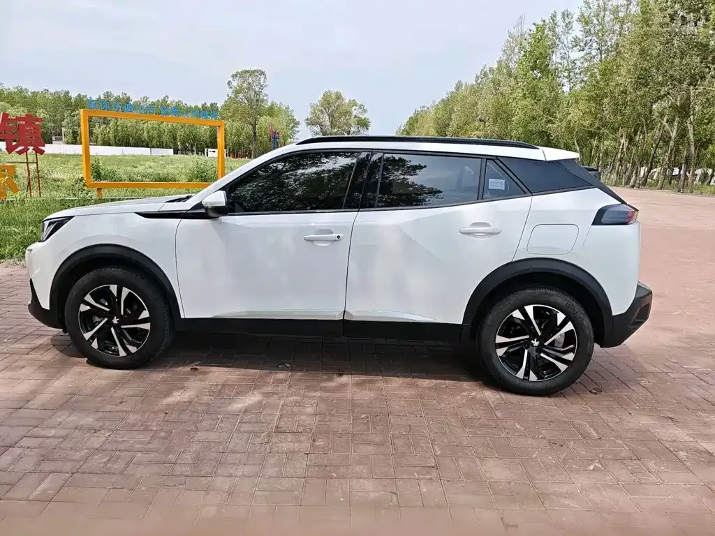 Peugeot 2008 2023 из CN, фото 7