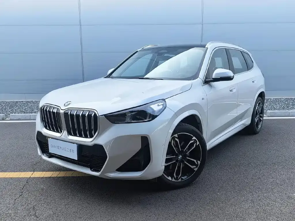 BMW X1 — фото 1