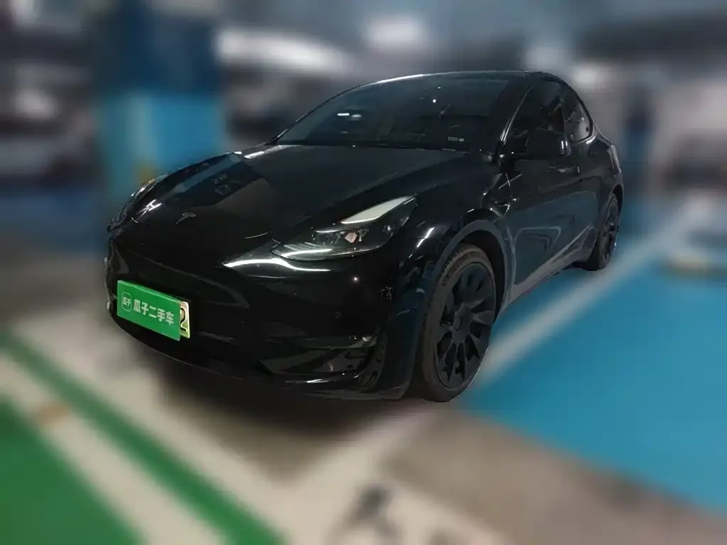 Tesla Model Y — фото 1