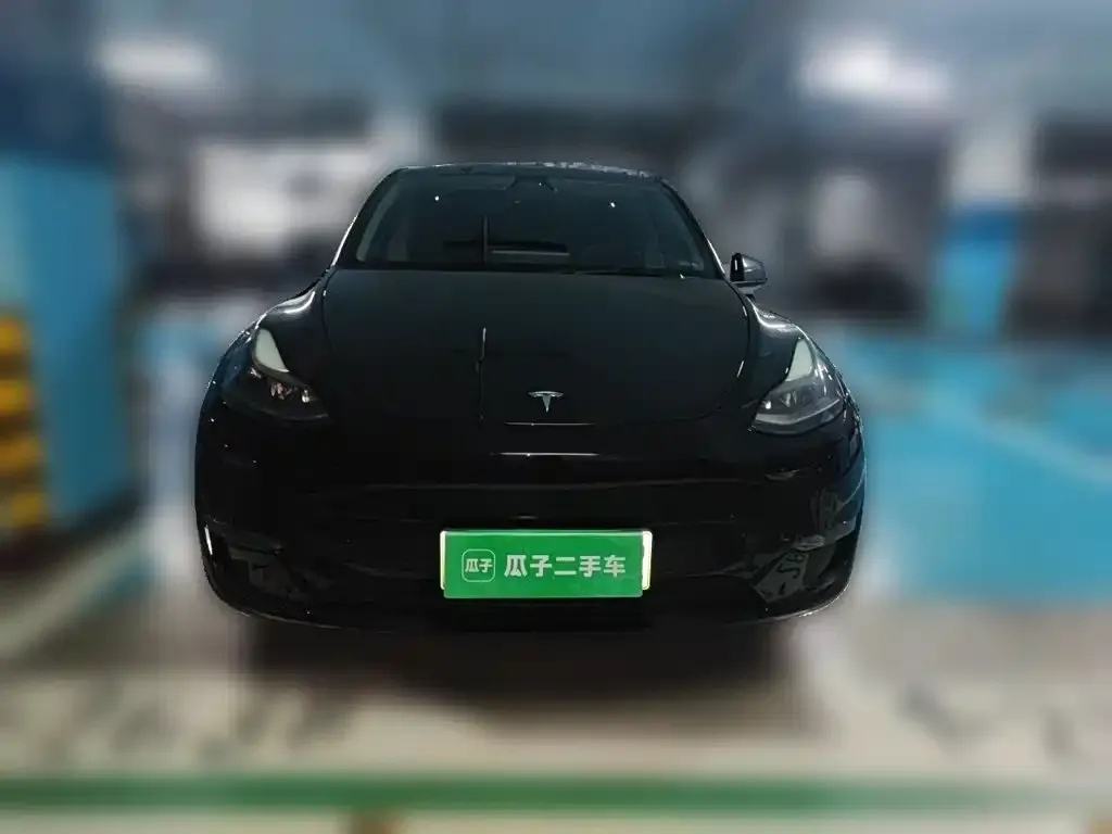 Tesla Model Y — фото 5