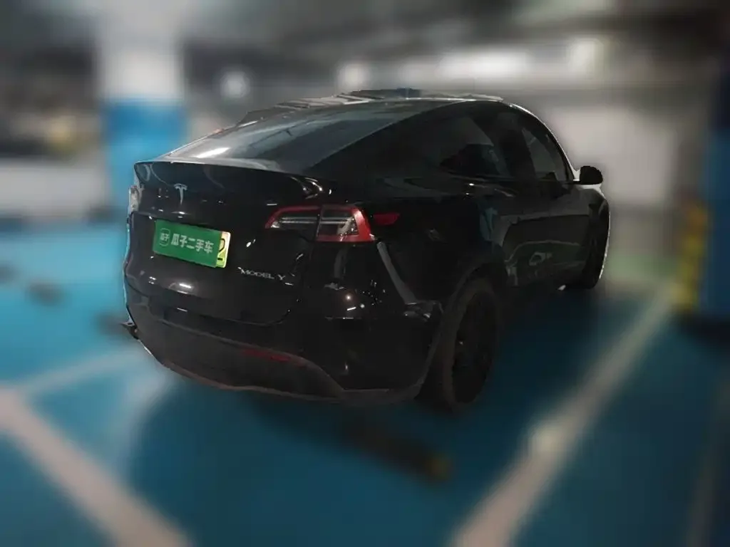 Tesla Model Y — фото 2