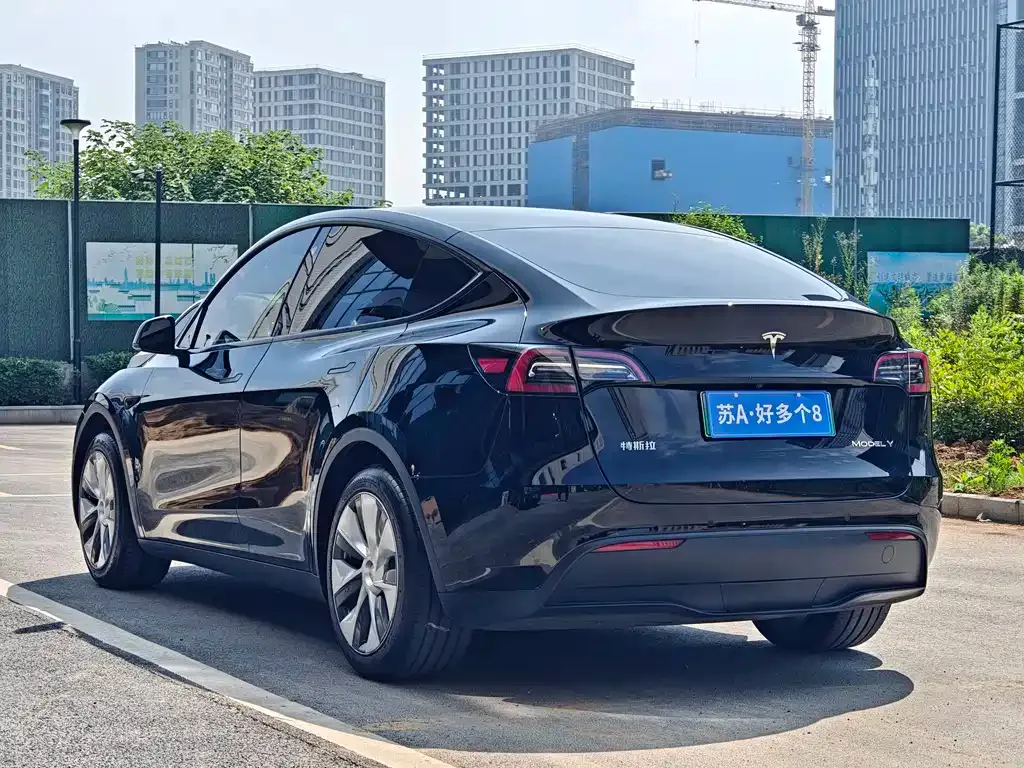 Tesla Model Y — фото 9