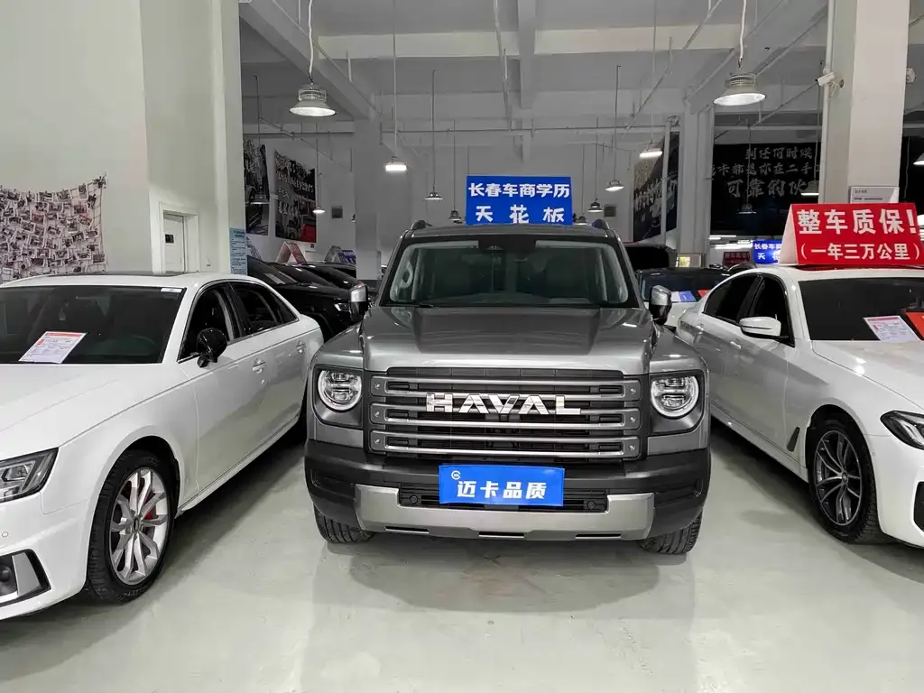 Haval Menglong New Energy — фото 7