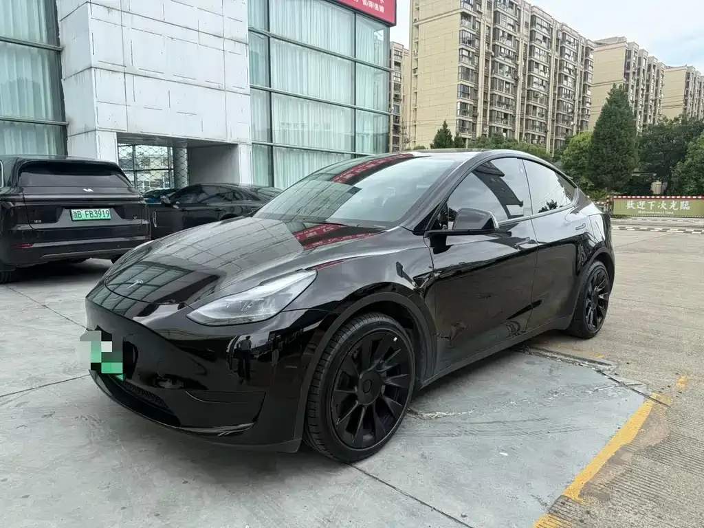 Tesla Model Y — фото 1