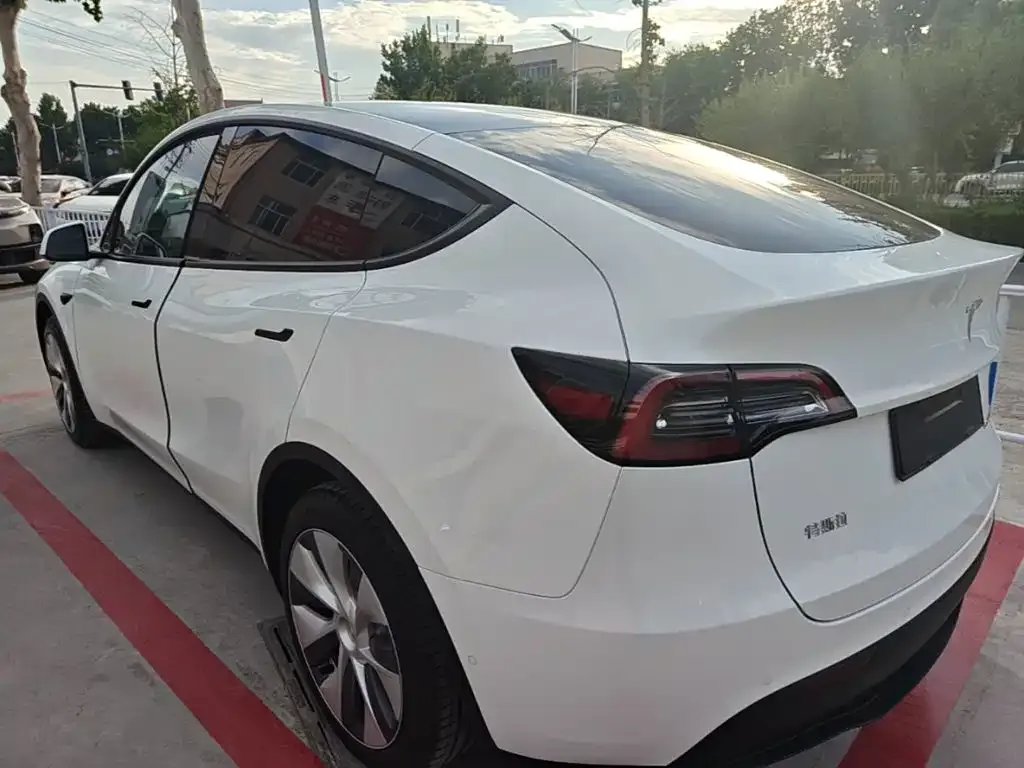 Tesla Model Y — фото 10