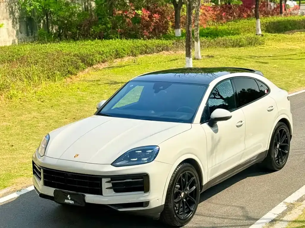 Porsche Cayenne — фото 1