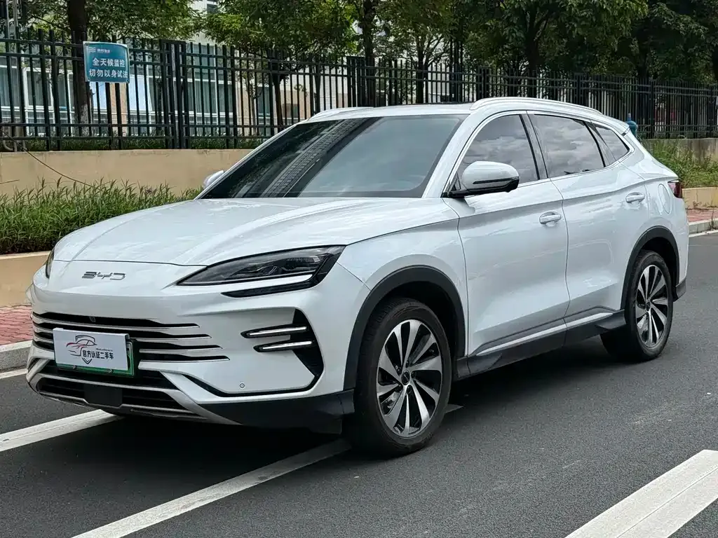 BYD PLUS New Energy — фото 1