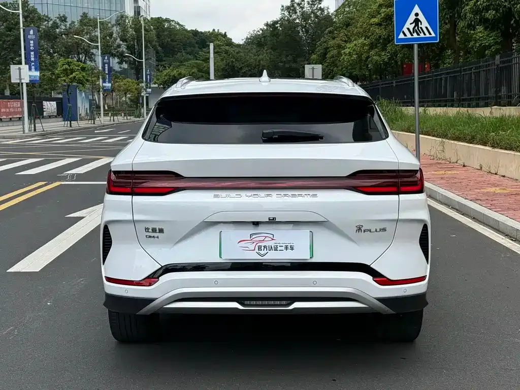 BYD PLUS New Energy — фото 6